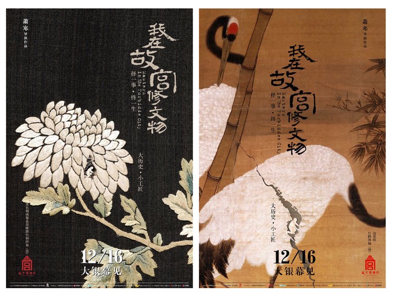 综艺节目资讯